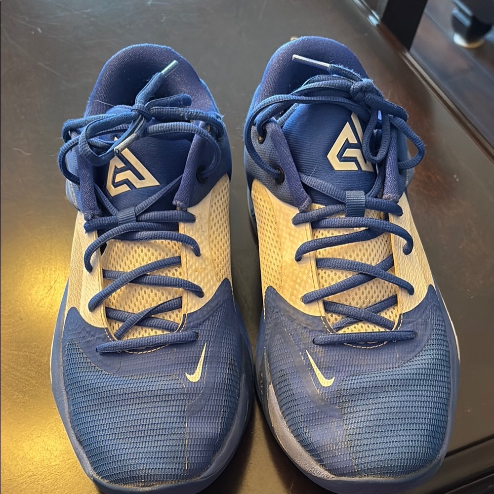 Nike Blue and White Men's Sneakers